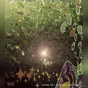 WS album cover