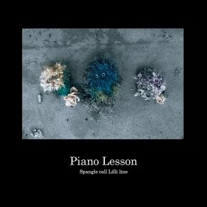 Piano Lesson album cover