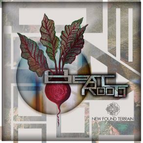 New Found Terrain album cover