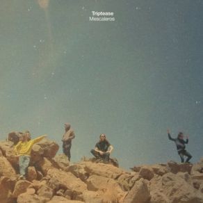Mescaleros album cover