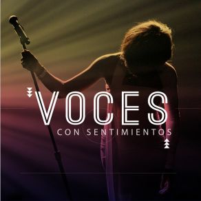 Voces Y Sentimientos album cover