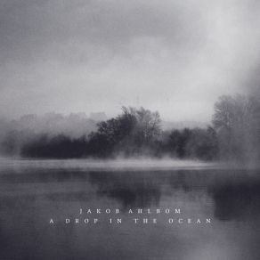 A Drop In The Ocean album cover