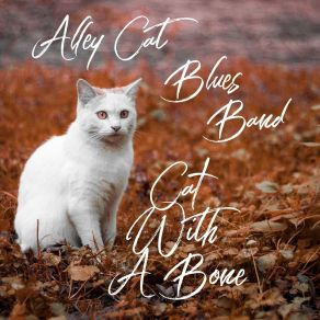 Cat With A Bone album cover