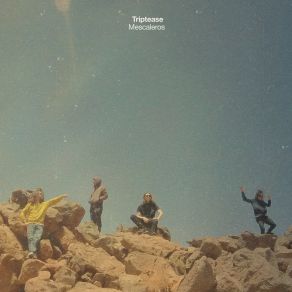 Mescaleros LP album cover