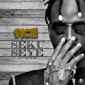 Seku Seye album cover