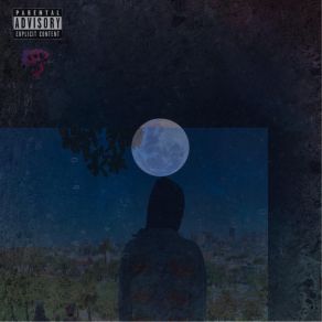 DLV Compilation 2 album cover