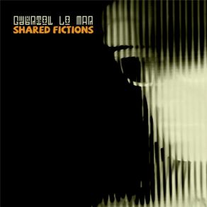 Shared Fictions (Beatless Mixes) album cover