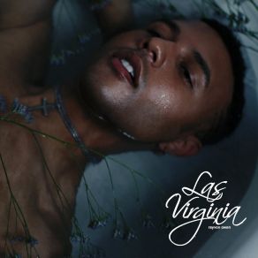 Las Virginia album cover