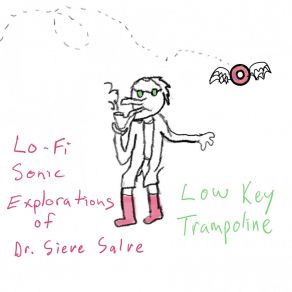 Lo-Fi Sonic Explorations Of Dr. Sieve Salve album cover