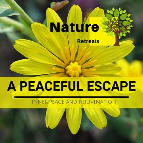 A Peaceful Escape - Inner Peace And Rejuvenation album cover