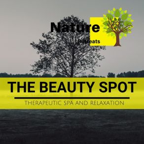 The Beauty Spot - Therapeutic Spa And Relaxation album cover