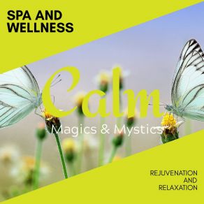 Spa And Wellness - Rejuvenation And Relaxation album cover