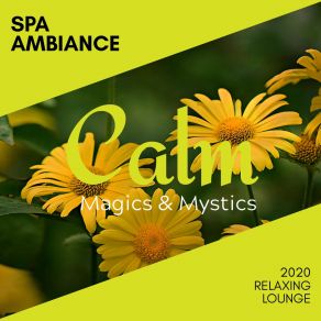 Spa Ambiance - 2020 Relaxing Lounge album cover