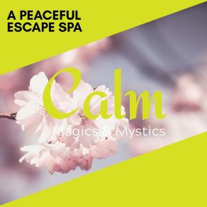 A Peaceful Escape Spa album cover