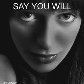 Say You Will album cover