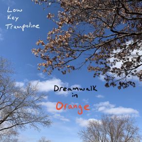 Dreamwalk In Orange album cover