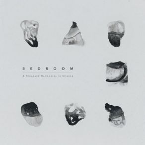 A Thousand Harmonies In Silence album cover