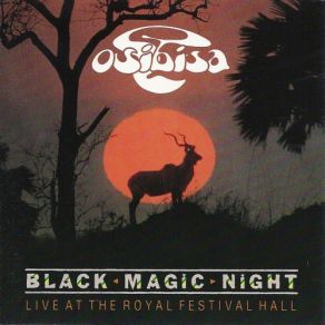 Black Magic Night album cover