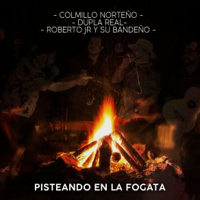 Pisteando En La Fogata album cover