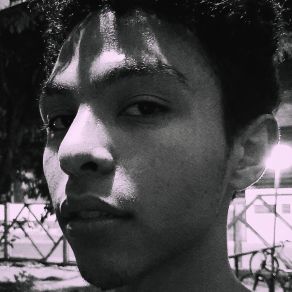 Artista album cover