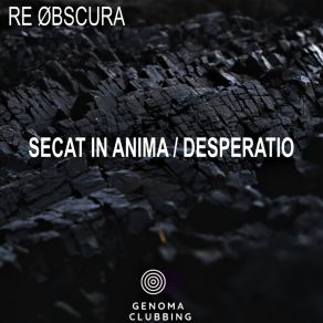 Secat In Anima / Desperatio album cover