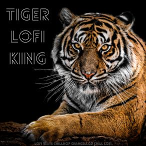 Tiger Lofi King album cover