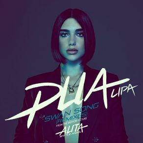 Swan Song (Remixes) album cover