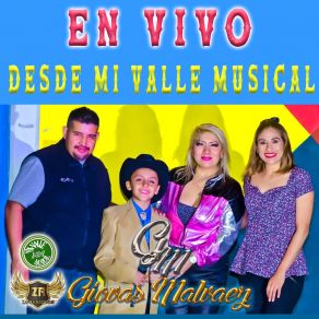 En Vivo Desde Mi Valle Musical (En Vivo) album cover