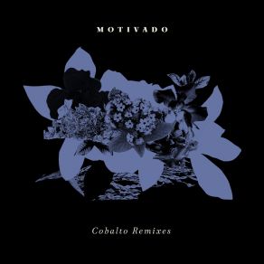 Cobalto Remixes album cover