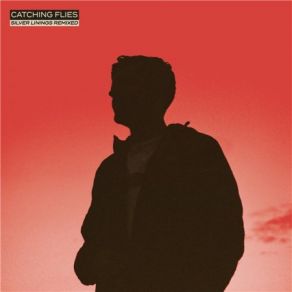 Silver Linings Remixed (Deluxe Edition) album cover