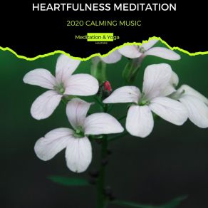Heartfulness Meditation - 2020 Calming Music album cover