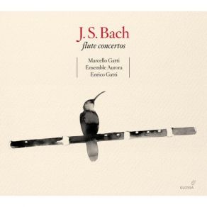 Bach - Flute Concertos - Marcello Gatti album cover