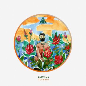 Turmeric album cover