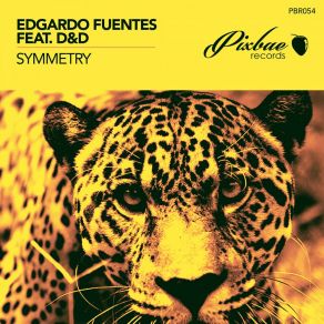 Symmetry album cover