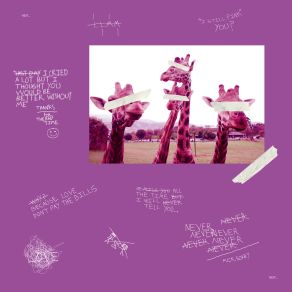 Last Day album cover