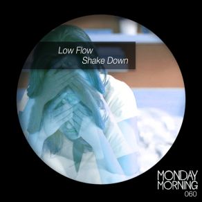 Shake Down album cover
