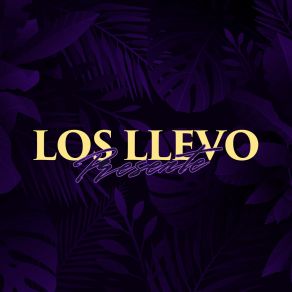 Los Llevo Presente album cover