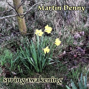 Spring Awakening album cover