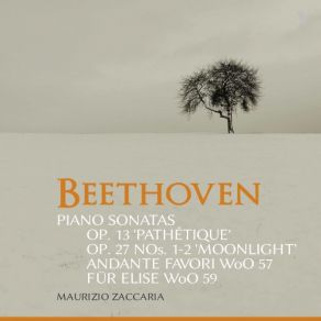 Beethoven: Piano Sonatas, Opp. 13 & 27 & Other Works album cover