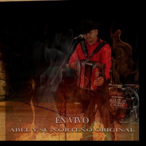 Exitos En Vivo album cover
