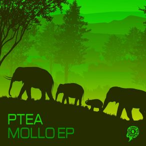 Mollo album cover