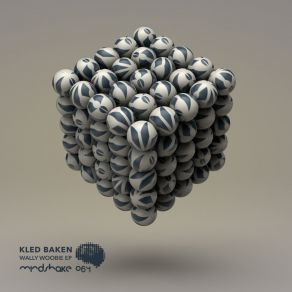 Wally Woobie (Original Mix) album cover
