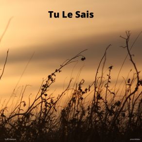 Tu Le Sais album cover