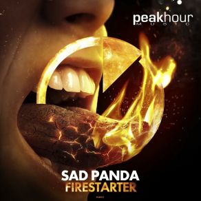 Firestarter album cover