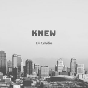 Knew album cover