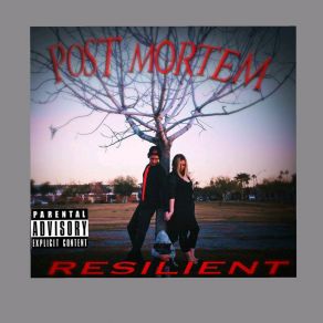 Post Mortem album cover
