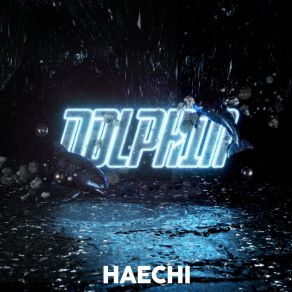 Dolphin album cover