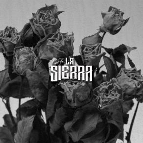 Me Va Doler El Corazón album cover