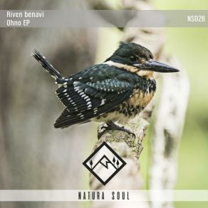 Ohno album cover