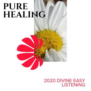 Pure Healing - 2020 Divine Easy Listening album cover